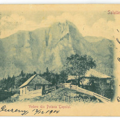 3932 - POIANA TAPULUI, Prahova, Litho, Romania - old postcard - used - 1900