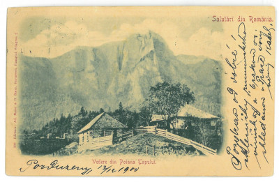 3932 - POIANA TAPULUI, Prahova, Litho, Romania - old postcard - used - 1900 foto