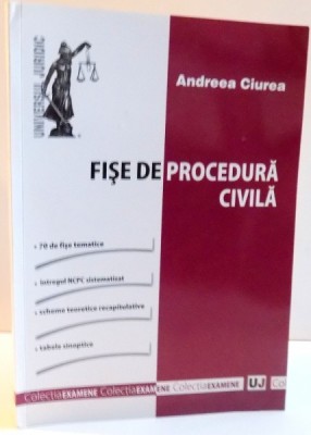 FISE DE PROCEDURA CIVILA de ANDREEA CIUREA , 2013 foto