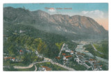 4423 - SINAIA, Panorama, Romania - old postcard - used - 1924