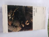 Maurice rheimes-viatade artist