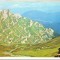 CPI B14162 CARTE POSTALA - MUNTII BUCEGI. COLTII MORARULUI