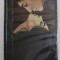UN PREMIER AMOUR par MAXIME GORKI , 1967