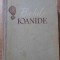 BIETUL IOANIDE-GEORGE CALINESCU-265059