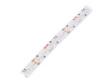 Bandă LED alb cald/alb rece LED - 252 LED-uri 10mm IP20 120&deg; 14,4W/m