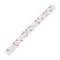 Bandă LED alb cald/alb rece LED - 252 LED-uri 10mm IP20 120&deg; 14,4W/m