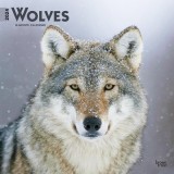 Wolves 2024 Square