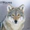 Wolves 2024 Square