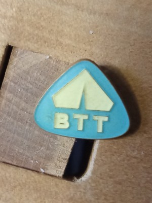 Insigne (5) BTT foto