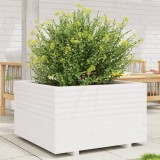 VidaXL Jardinieră de grădină, alb, 80x80x49,5 cm, lemn masiv de pin