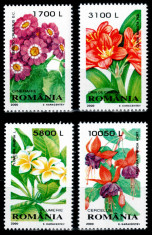 Romania 2000, LP 1510, Plante de apartament, seria, MNH! foto