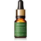Antipodes Divine Face Oil Rosehip &amp; Avocado Oil ser protector impotriva primelor semne de imbatranire ale pielii 10 ml