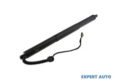 Amortizor gaz ridicare hayon portbagaj BMW X5 (11.2012-) [F15] #1