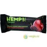 Baton Din Seminte De Canepa, Visine si Dude Hemp Up Ecologic/Bio 48gr