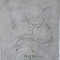 NOAPTEA NOPTILOR FARA IUBIRE-ROBERT DESNOS-228172