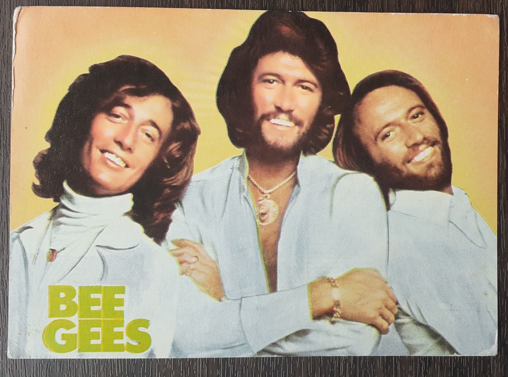 11) CARTE POSTALA - ACIN - FORMATIA BEE GEES | Okazii.ro