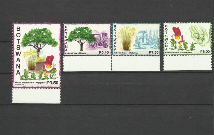 BOTSWANA 2014 ARBORI COPACI FLORI