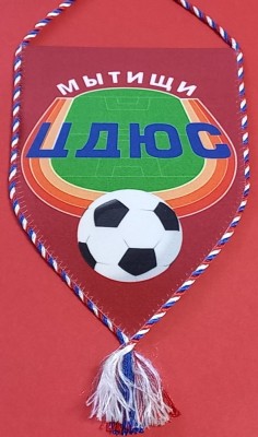 Fanion fotbal - FC Fortuna Mytishchi (RUSIA) foto