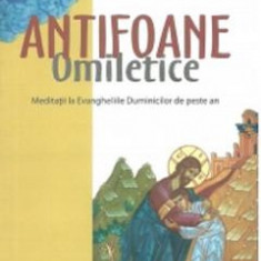 Antifoane omiletice - Constantin Necula