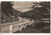 CPIB 22096 - CARTE POSTALA - CALIMANESTI&#039; DRUMUL SPRE CACIULATA, RPR, Circulata, Fotografie