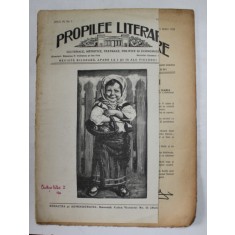 PROPILEE LITERARE , REVISTA BILUNARA , ANUL III , NR. 5 , 15 MAI , 1928
