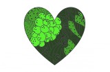 Cumpara ieftin Sticker decorativ, Inima, Verde, 85 cm, 7045ST-1
