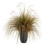 Planta Artificiala Iarba Ornamentala Tip Coada de Vulpe,120cm,Iarba curbata si Spice,Verde si Roz,Fara Ghiveci
