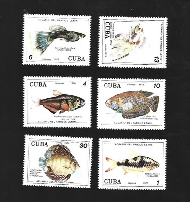 cuba pesti mnh foto