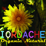 Organic natural | Iordache