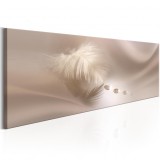 Cumpara ieftin Tablou - Delicate Feather 150x50 cm