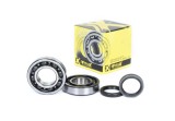 Set rulmenti ambielaj Suzuki RM-Z 250 10- 20 Prox 23.CBS33010