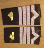 C3 - Grade militare - mozaic padure - maistru militar tancuri