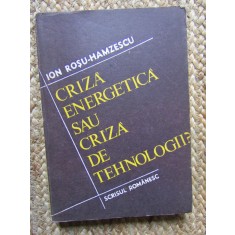Ion Rosu Hamzescu - Criza energetica sau criza de tehnologie