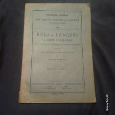 Carte Boli si Leacuri la Oameni Vite si Pasari dupa datinile si credintele poporului roman din comuna Tepu de Tudor Pamfile anul 1911 / 88 pagini