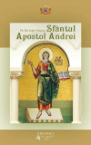 Sf&acirc;ntul Apostol Andrei - Paperback brosat - Pr. Dr. Sabin Verzan - Basilica