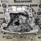 Scut motor cutie metalic original BMW F07,F10,F06,F13,F01 xdrive