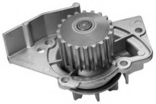 Pompa apa FIAT SCUDO combinato (220P) (1996 - 2006) THERMOTEC D1P000TT foto