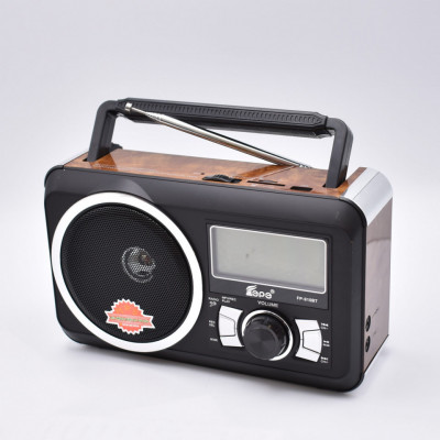 Radio portabil cu bluetooth, MP3, TF, SD, USB, REC, Radio FM, Afisaj Electronic foto