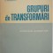 Grupuri de transformari. Introducere elementara - A. Haimovici