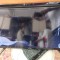TV Smart Tech SMT32Z3 , DISPLAY SPART . RESTUL FUNCTIONEAZA .