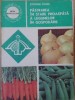 PASTRAREA IN STARE PROASPATA A LEGUMELOR IN GOSPODARIE-STEFANIA FUGEL-337407