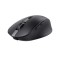 TRUST Ozaa Compact Wireless Mouse - black &quot;24819&quot; (timbru verde 0.18 lei)