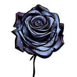Sticker decorativ, Trandafir, Negru-Albastru, 81 cm, 8223ST