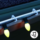 Set agatat jgheab - transparent - 50 buc/pachet Best CarHome