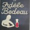 Disparitia lui Adele Bedeau &ndash; Graeme Macrae Burnet
