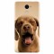 Husa silicon pentru Huawei Y7 Prime 2017, Cute Yawning Puppy