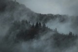 Tablou Canvas, "Misterul pădurii &icirc;n ceață albăstruie", Cețuri, Melancolie, Taină, &Icirc;nălțimi, Umbre, Serenitate, Natură, Mister, Pădure, Liniște, 39 x 2