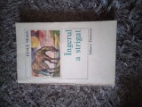 (2.2) Fanus Neagu - Ingerul a strigat