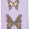 bnk cp Bucuresti - Muzeul Antipa - Fluturi - Graphium weiskei si Teinopalpus imperialis - necirculata