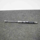 Amortizor Haion Stanga Tesla Model 3 2018 OEM 1091560-00-B Auger Trucktec Tridon Garantie 12 luni